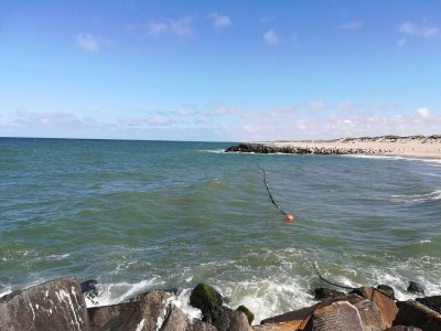 Holiday house 8 person holiday home in Ulfborg-By Traum - Outdoor photo 10