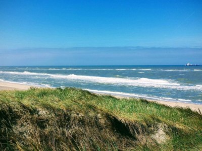 Holiday house 8 person holiday home in Ulfborg-By Traum - Outdoor photo 11