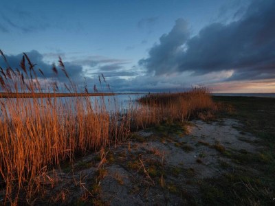 Holiday house 8 person holiday home in Ulfborg-By Traum - Outdoor photo 35