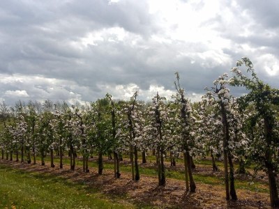 Holiday house 8 Personen Ferienhaus in Brenderup Fyn-By Traum - Outdoor photo 32