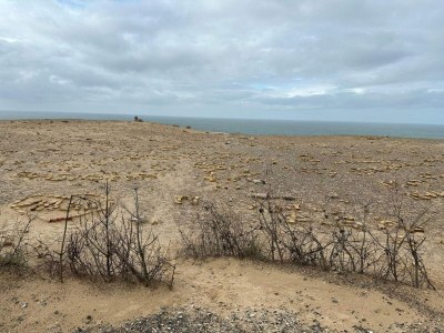 Holiday house 6 person holiday home in Løkken-By Traum - Outdoor photo 30