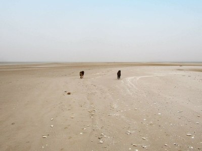 Holiday house 6 Personen Ferienhaus in Hadsund-By Traum - Outdoor photo 25