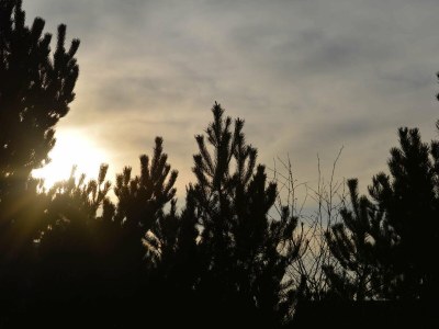 Holiday house 6 Personen Ferienhaus in Hadsund-By Traum - Outdoor photo 28