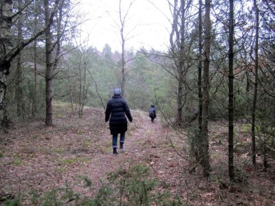 Holiday house 6 Personen Ferienhaus in Hadsund-By Traum - Outdoor photo 30