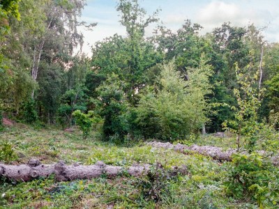 Holiday house 6 Personen Ferienhaus in Hadsund-By Traum - Outdoor photo 32