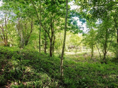 Holiday house 6 Personen Ferienhaus in Hadsund-By Traum - Outdoor photo 33