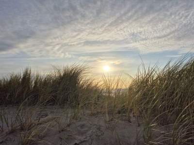 Holiday house Luxurioses Poolhaus am Strand -- By Traum Ferienwohnungen - Outdoor photo 14