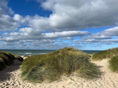 Holiday house Luxurioses Poolhaus am Strand -- By Traum Ferienwohnungen - Outdoor photo 37