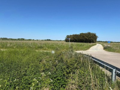 Holiday house 6 person holiday home in Sydals-By Traum - Outdoor photo 15