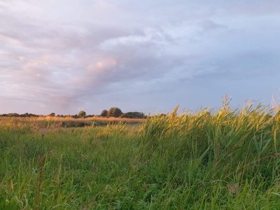 Holiday house 6 person holiday home in Sydals-By Traum - Outdoor photo 40