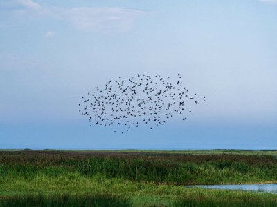 Holiday house 6 person holiday home in Vinderup-By Traum - Outdoor photo 10