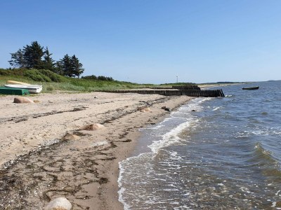 Holiday house 6 person holiday home in Vinderup-By Traum - Outdoor photo 27