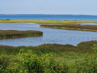 Holiday house 6 person holiday home in Vinderup-By Traum - Outdoor photo 32