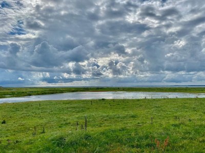 Holiday house 6 person holiday home in Vinderup-By Traum - Outdoor photo 33