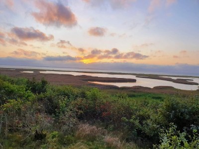 Holiday house 6 person holiday home in Vinderup-By Traum - Outdoor photo 34