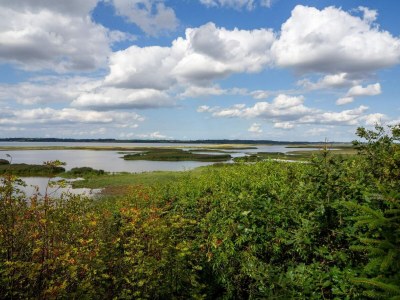 Holiday house 6 person holiday home in Vinderup-By Traum - Outdoor photo 35