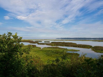 Holiday house 6 person holiday home in Vinderup-By Traum - Outdoor photo 36