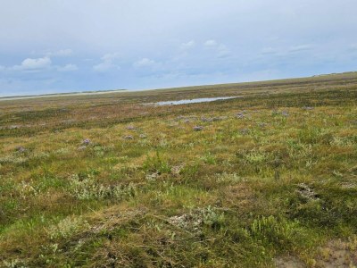 Holiday house 6 person holiday home in Rømø-By Traum - Outdoor photo 15