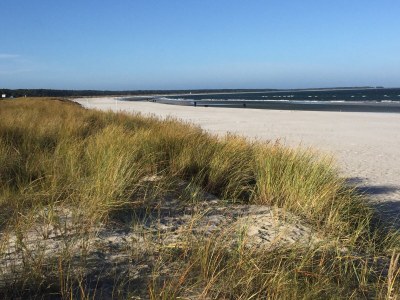 Holiday house Schatzinsel Prerow - Environment photo 20