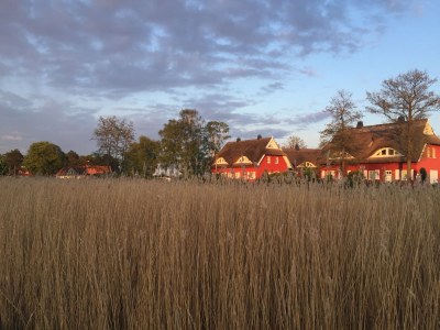 Holiday house Schatzinsel Prerow - Environment photo 21