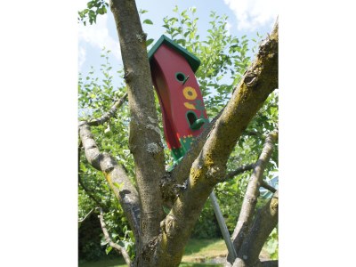 Holiday apartment Kramheller - Outdoor photo 7