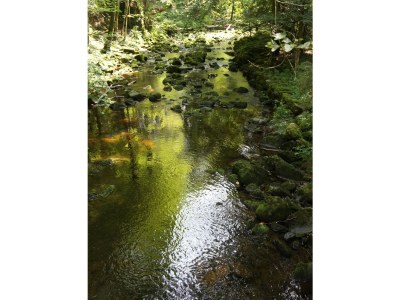 Holiday apartment Kramheller - Environment photo 20