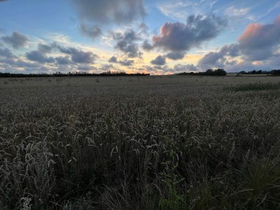 Holiday house 4 Personen Ferienhaus in Henne-By Traum - Outdoor photo 7