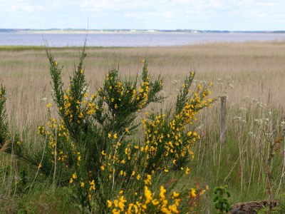 Holiday house 4 Personen Ferienhaus in Henne-By Traum - Outdoor photo 11