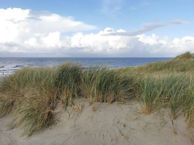 Holiday house 4 Personen Ferienhaus in Henne-By Traum - Outdoor photo 19