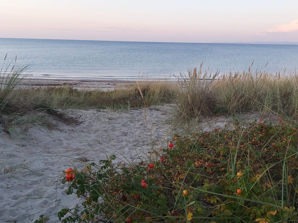 Holiday house Luxurioses Refugium in Hornbaek -- By Traum Ferienwohnungen