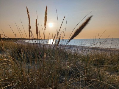 Holiday house Luxurioses Refugium in Hornbaek -- By Traum Ferienwohnungen - Outdoor photo 32