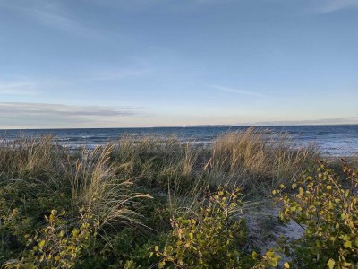 Holiday house Luxurioses Refugium in Hornbaek -- By Traum Ferienwohnungen - Outdoor photo 36