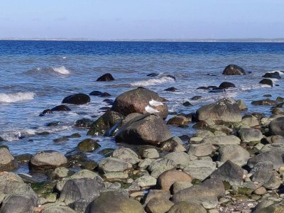 Holiday house Luxurioses Refugium in Hornbaek -- By Traum Ferienwohnungen - Outdoor photo 37