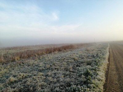 Holiday house Modernes Refugium in Lokken -- By Traum Ferienwohnungen - Outdoor photo 35