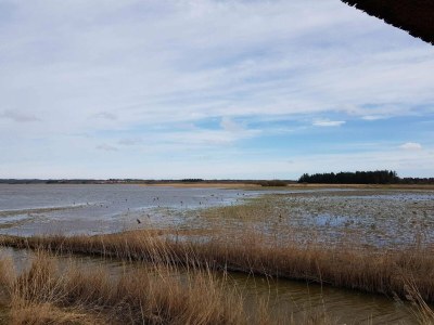 Holiday house 8 person holiday home in Frøstrup-By Traum - Outdoor photo 8
