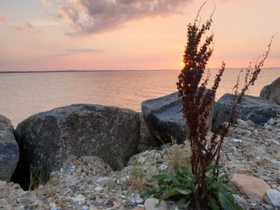 Holiday house 6 person holiday home in Vinderup-By Traum - Outdoor photo 8