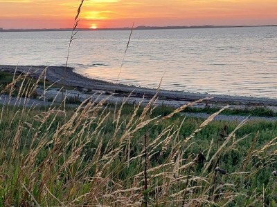 Holiday house 6 person holiday home in Vinderup-By Traum - Outdoor photo 14