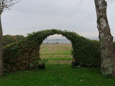 Holiday house Marina Ruckzug in Aero -- By Traum Ferienwohnungen - Outdoor photo 24