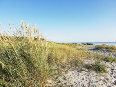 Holiday house 8 person holiday home in Ebeltoft-By Traum - Outdoor photo 11