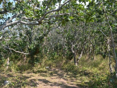 Holiday house 8 person holiday home in Ebeltoft-By Traum - Outdoor photo 14