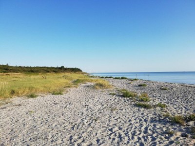 Holiday house 8 person holiday home in Ebeltoft-By Traum - Outdoor photo 16