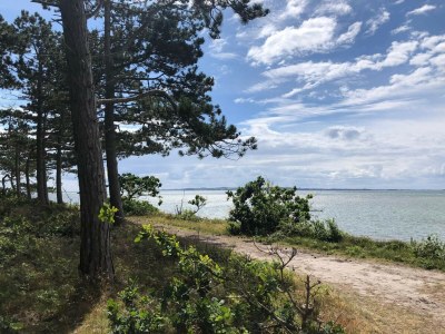 Holiday house 8 person holiday home in Ebeltoft-By Traum - Outdoor photo 24