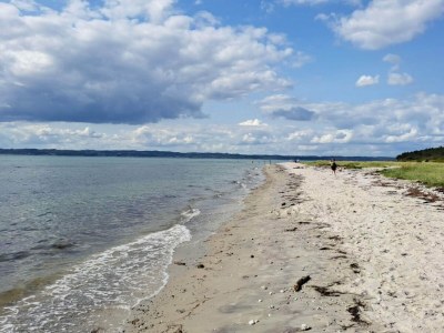 Holiday house 8 person holiday home in Ebeltoft-By Traum - Outdoor photo 26