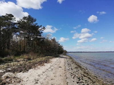 Holiday house 8 person holiday home in Ebeltoft-By Traum - Outdoor photo 28