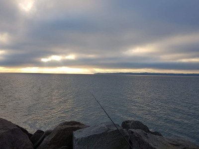 Holiday house 8 person holiday home in Ebeltoft-By Traum - Outdoor photo 30