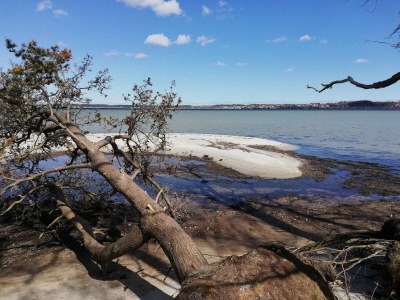 Holiday house 8 person holiday home in Ebeltoft-By Traum - Outdoor photo 31