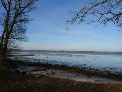 Holiday house 8 person holiday home in Ebeltoft-By Traum - Outdoor photo 37