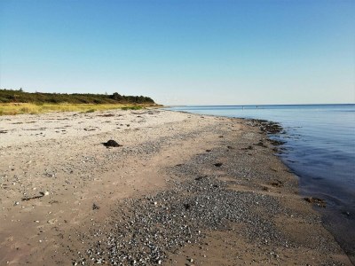 Holiday house 8 person holiday home in Ebeltoft-By Traum - Outdoor photo 38