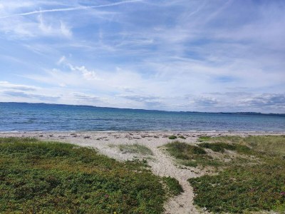 Holiday house 8 person holiday home in Ebeltoft-By Traum - Outdoor photo 39