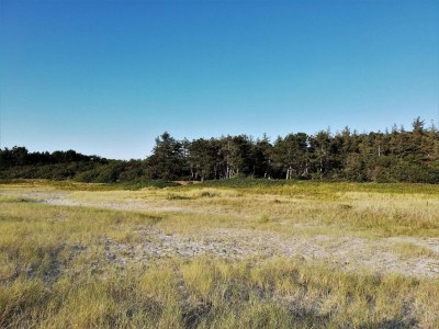 Holiday house 8 person holiday home in Ebeltoft-By Traum - Outdoor photo 40